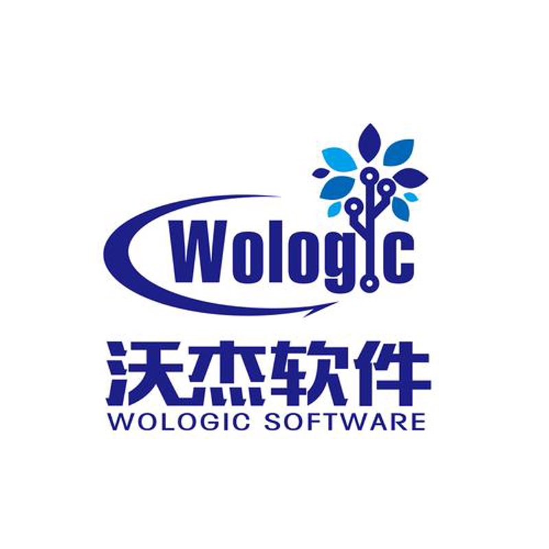 上海软件开发：数字化转型新引擎