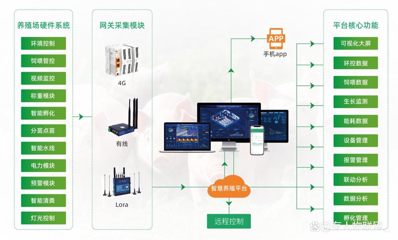 物联网软件